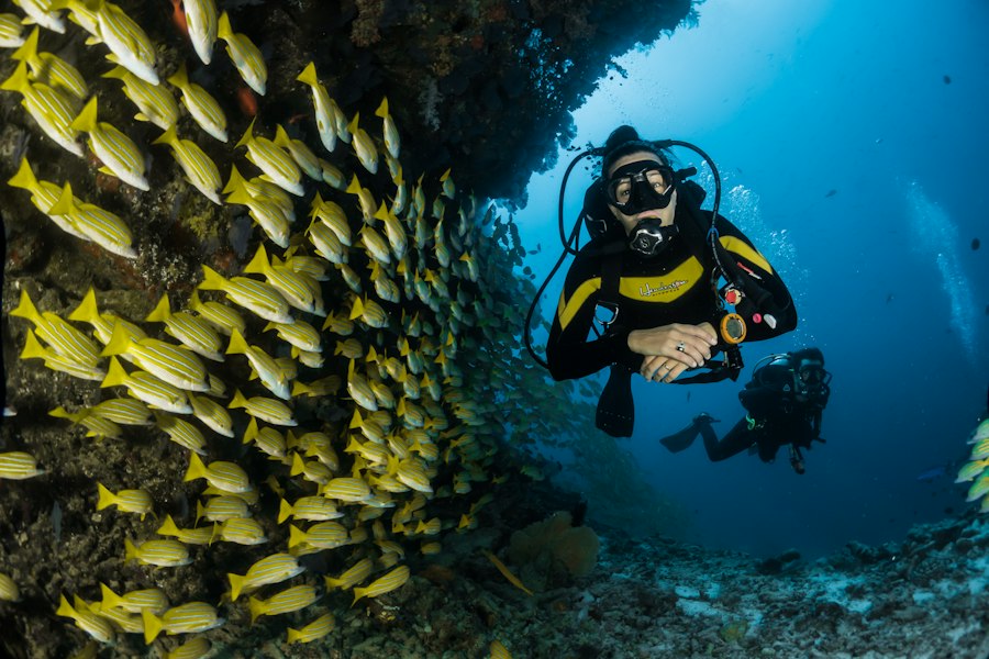 Scuba & Snorkel